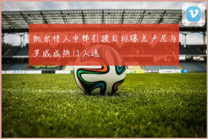 凯尔特人中锋引援目标曝光卢尼与罗威成热门人选