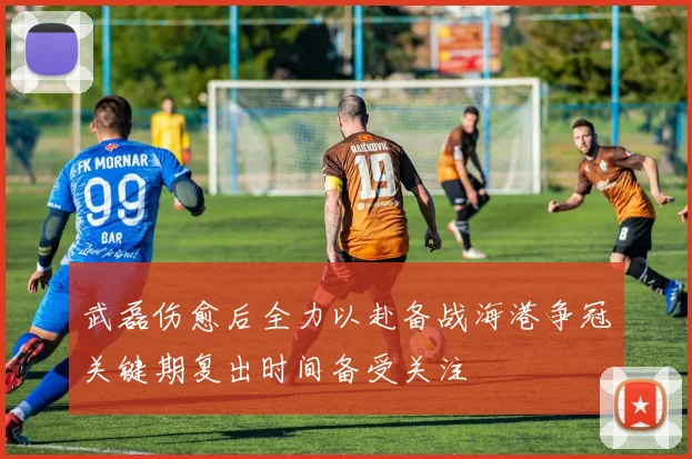 武磊伤愈后全力以赴备战海港争冠关键期复出时间备受关注
