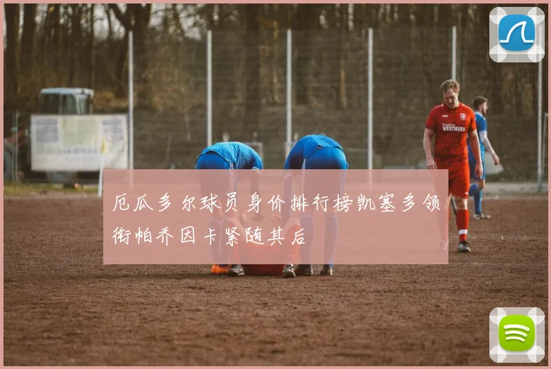 厄瓜多尔球员身价排行榜凯塞多领衔帕乔因卡紧随其后
